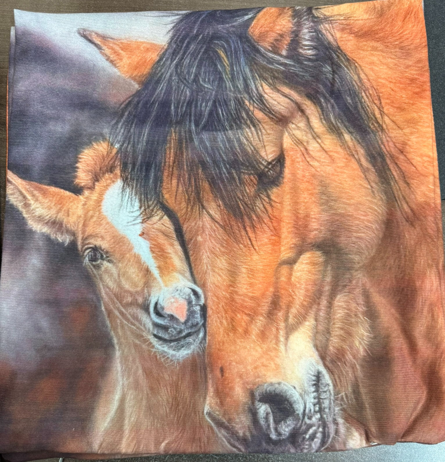 16" x 16" Pillow cover - 'Bound by Freedom'