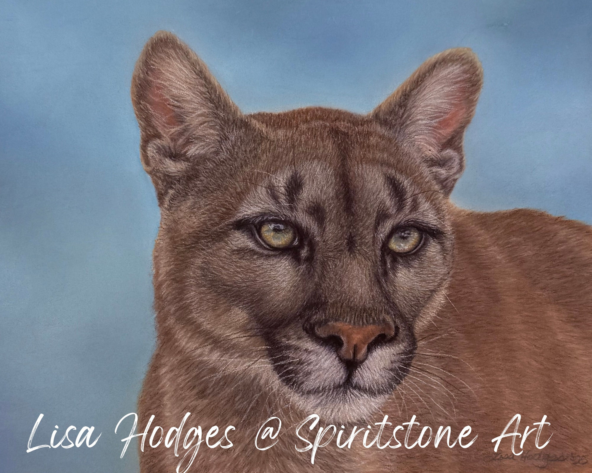 “Grace in Stillness” - 8 x10 cougar print