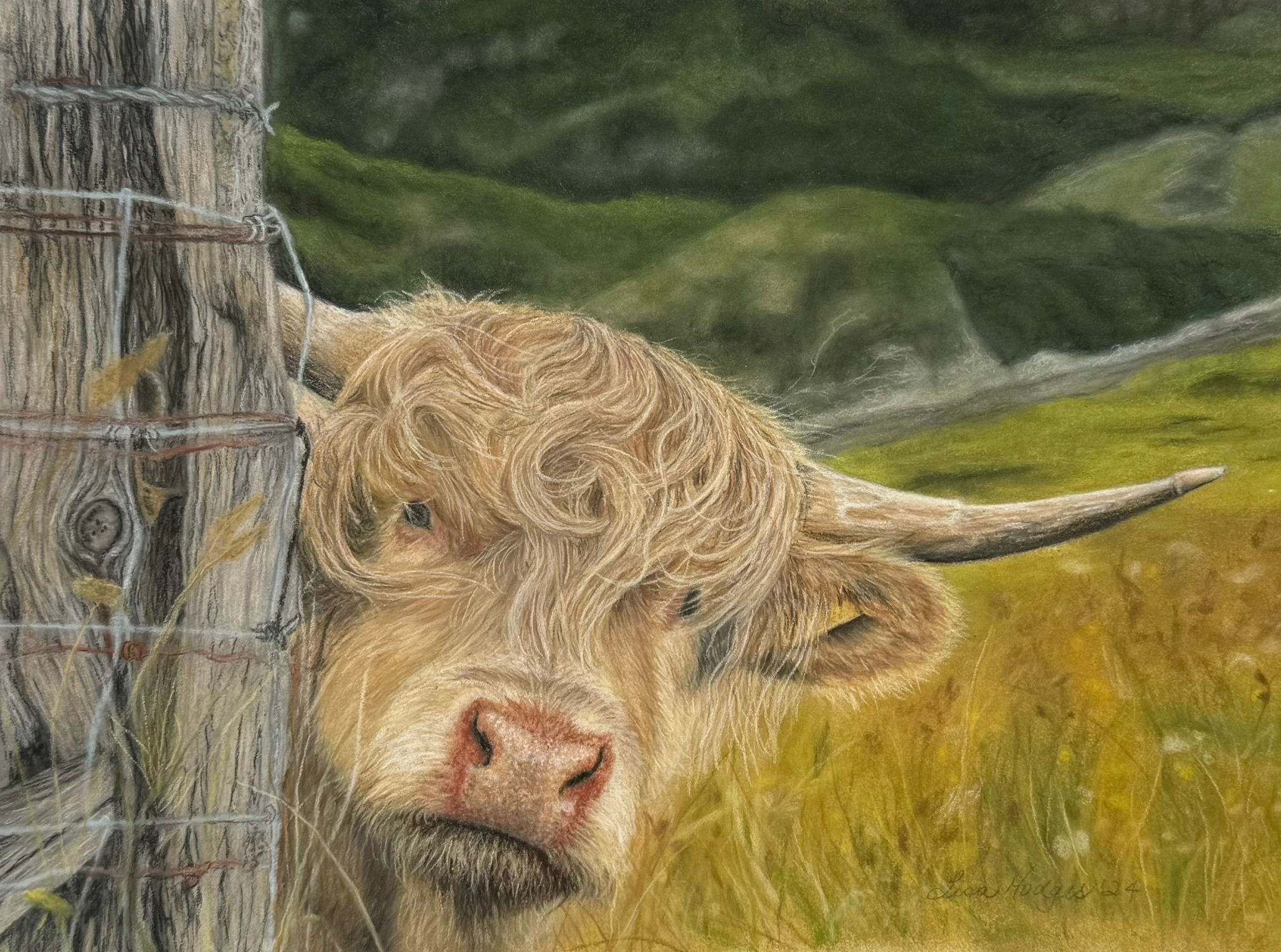 'Peek-a-moo' Blank Greeting Card