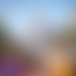 The Best Places for Family Vacations