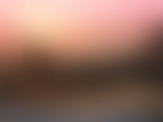 日本社会のこれから