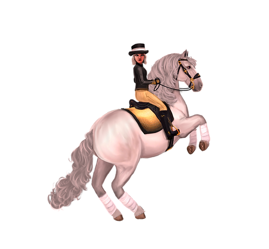 TKH Lippizaner_edited.png