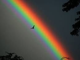 arco iris.jpg