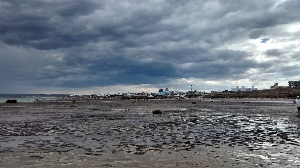 IMG_20150204_162805106_HDR.jpg