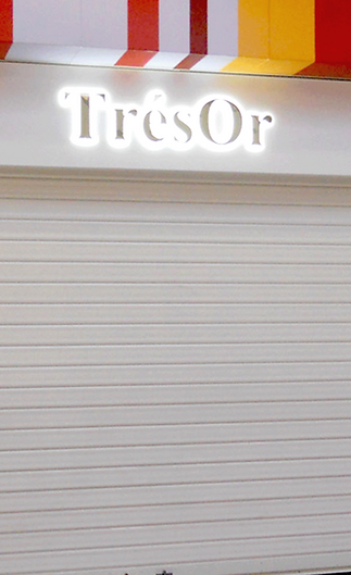 Rideau métallique lame pleine perigueux