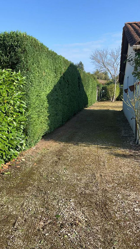 Logan entretien de jardin Neuvic Perigueux Saint Astier Marsac