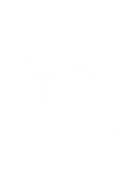 Büste Mann Lineart