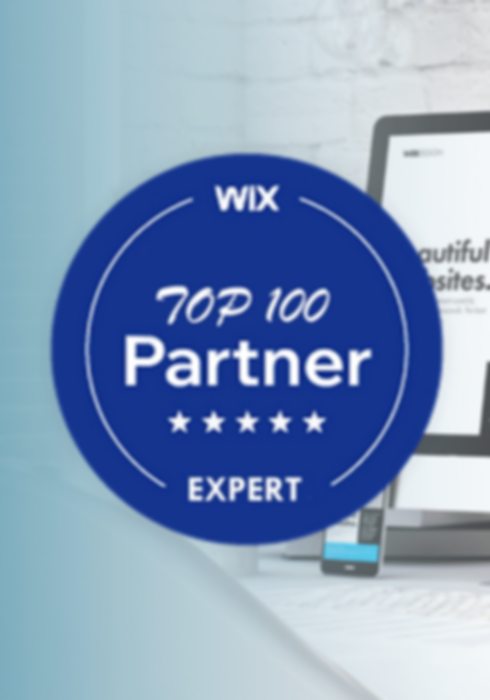Wix top 100 Partner