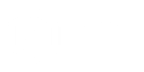 VIP-logo-Monotone-White-1.png