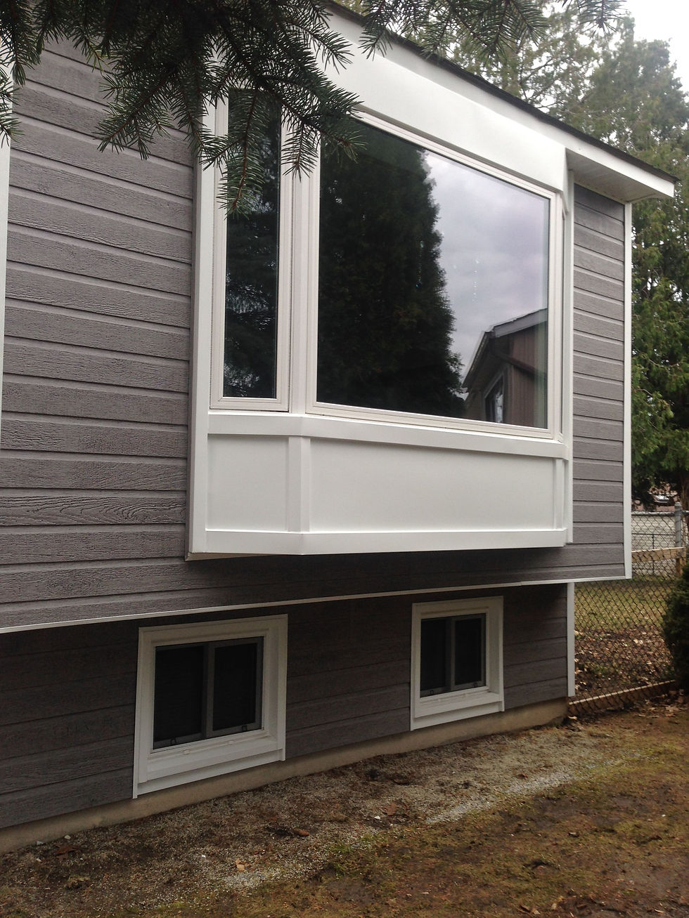 New Windows Ottawa