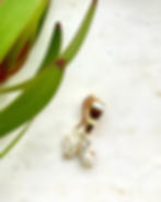 Thumbnail: Louise Earrings