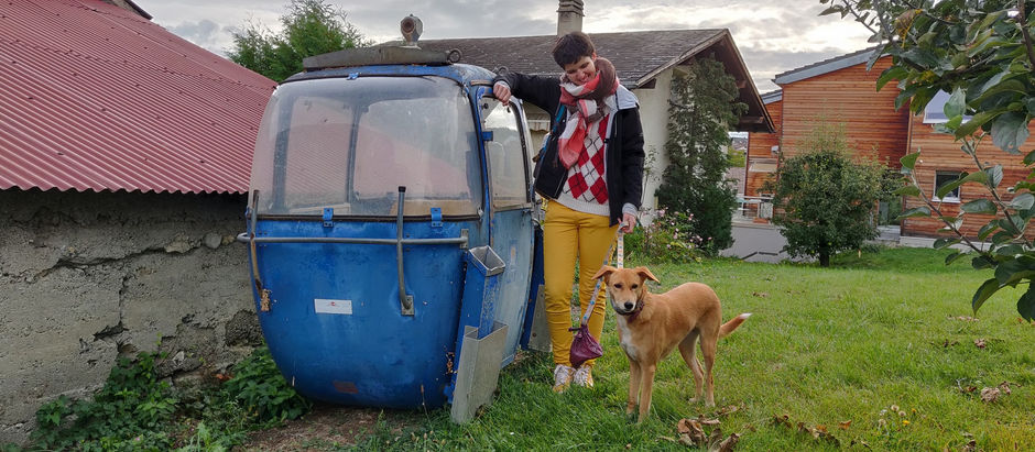 JE VAIS FAIRE QUOI MAINTENANT