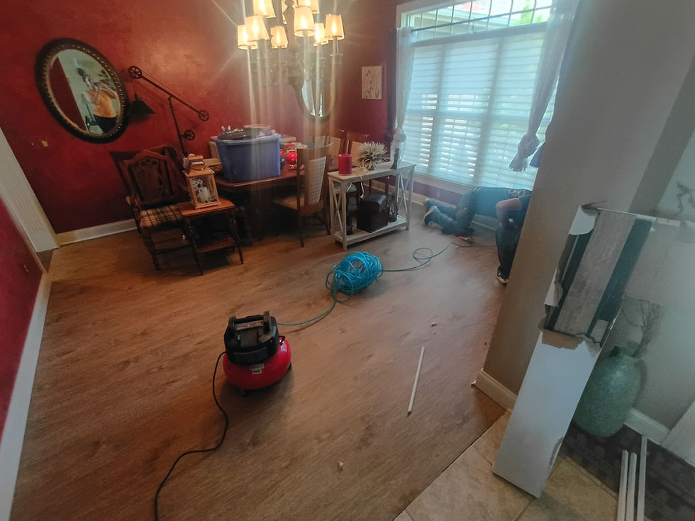 IMG_20260803_134708577_HDR
