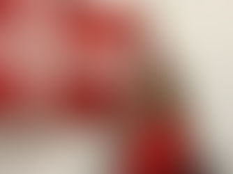 Lisa, un anno in Danimarca