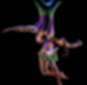 Danny and Pamela duo trapeze.jpg