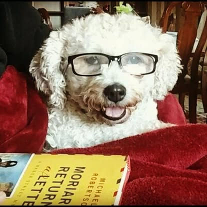 Dog-gone smart
