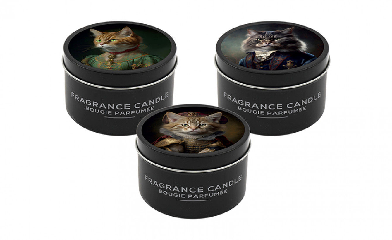 Candle Cat In Clothes