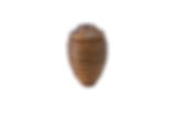 Light Pull Wooden Beehive