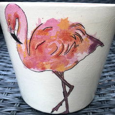 Flirty Flamingo