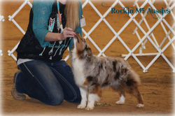 ASDR Cowtown Dog Show 109