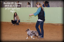 ASDR Cowtown Dog Show 100