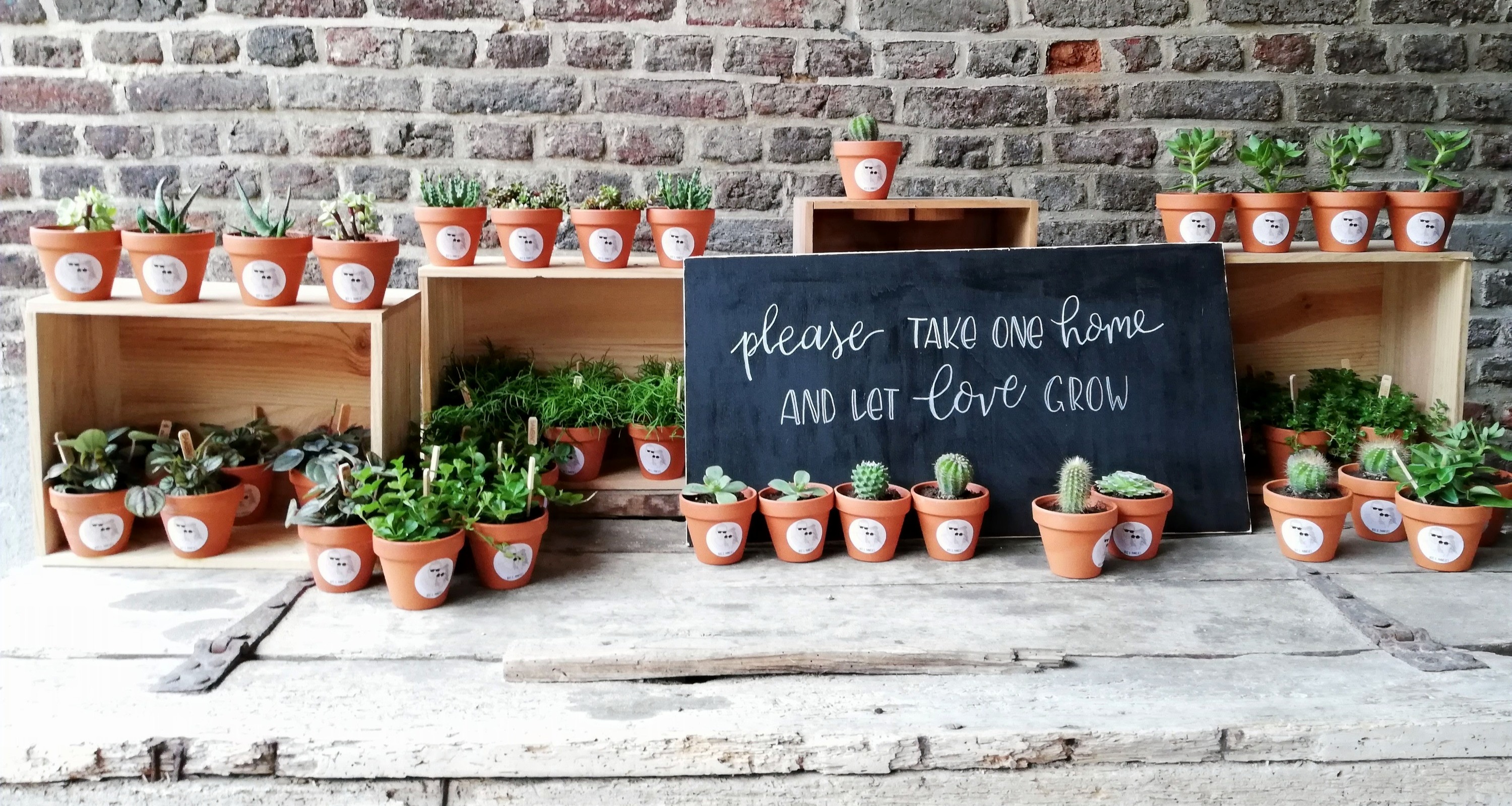 Let Love Grow