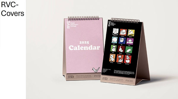 Screenshot 2024-12-12 at 10.20.58.jpeg