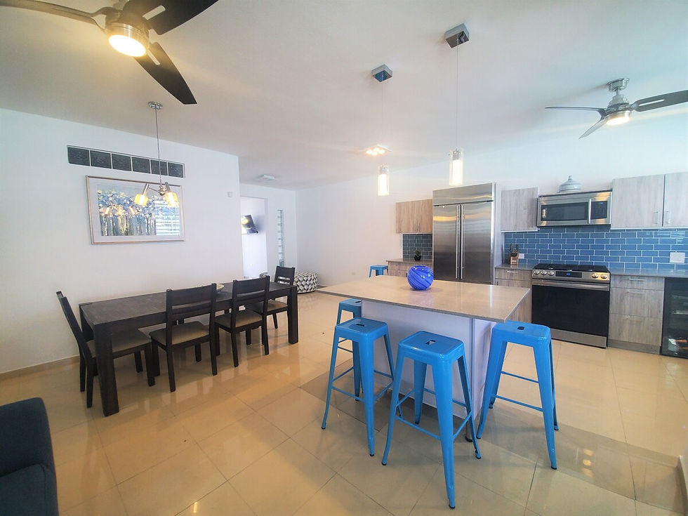 IV Main House Kitchen & Dining