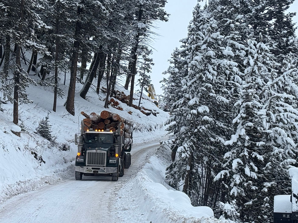 Big Twig Log Truck.jpeg