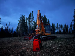 Fuels Reduction Masticating