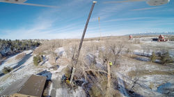 Tree Removal Park County, MT