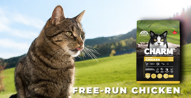 Cat Free-Run Chicken | Charm Pet Food