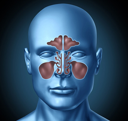 Nose, Sinus, Sinusitis