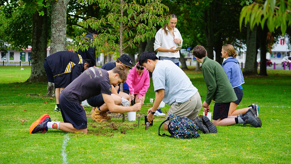 Rotorua Planting Day