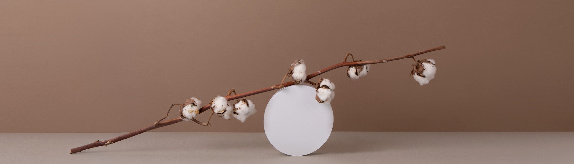Cotton Flowers_edited.jpg