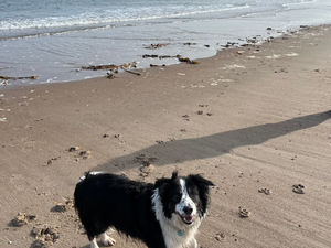 PAST, PRESENT AND FUTURE - A Walk From Cresswell To Newbiggin By the Sea