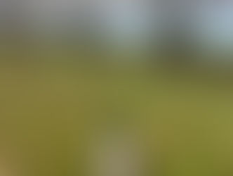 BROCKHAMPTON (WR6 5TB) - "What a Load of Apples"