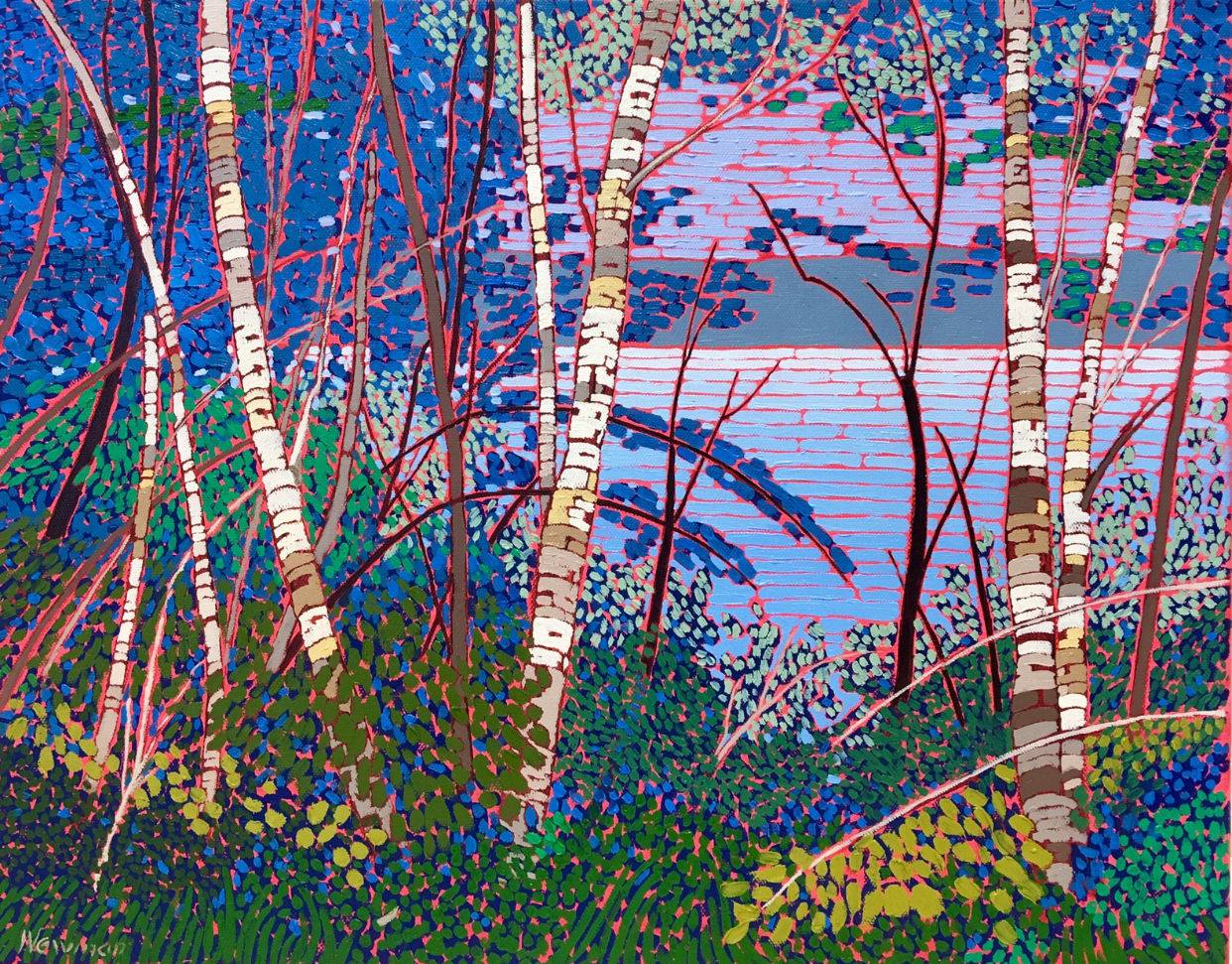 A Walk Through the Woods