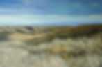 Lethbridge Landscape