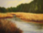 Wetland Near The Mill
