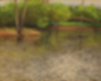 Willow Park on the Credit River