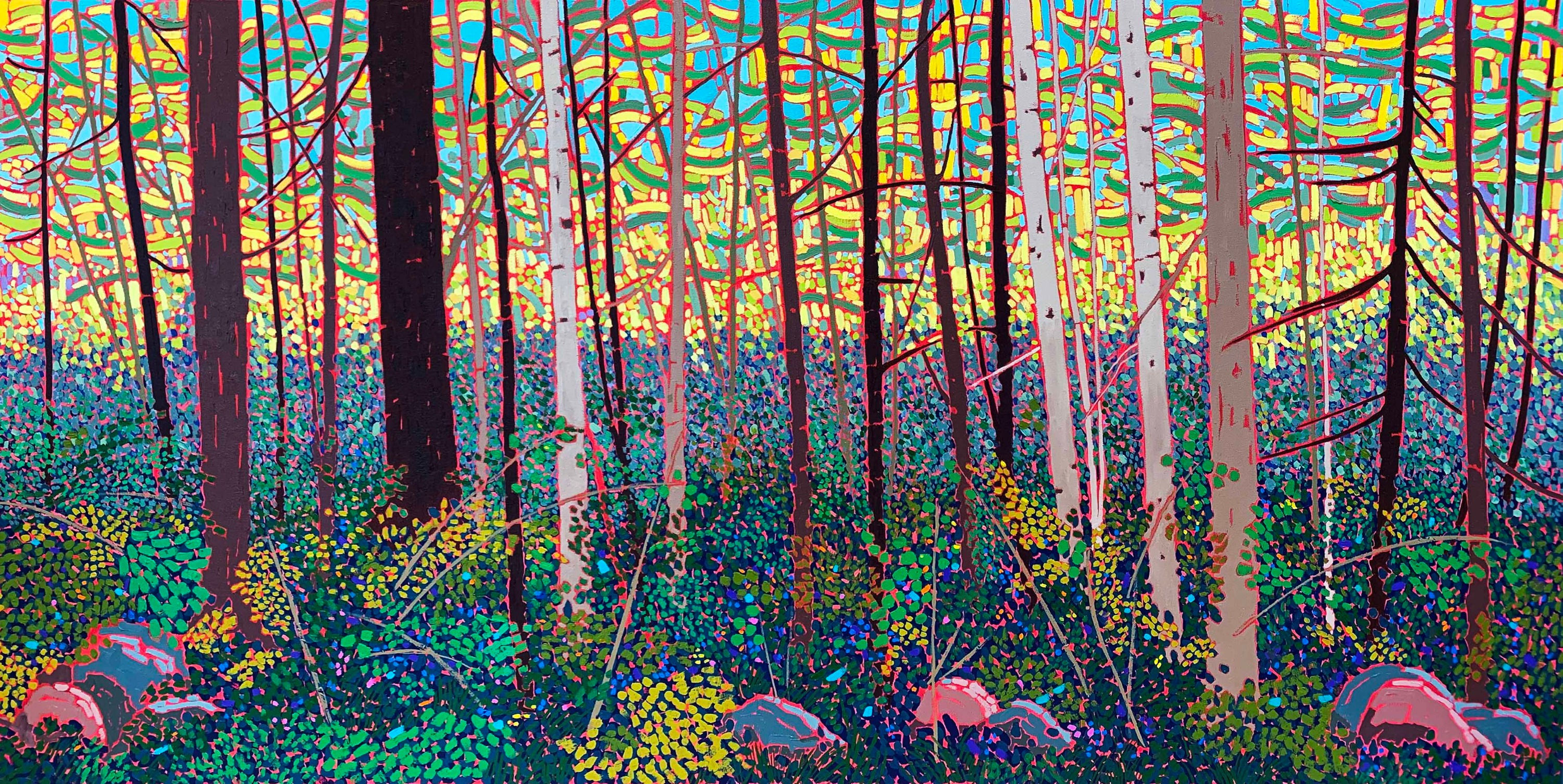 Every Picture Tells an Understory