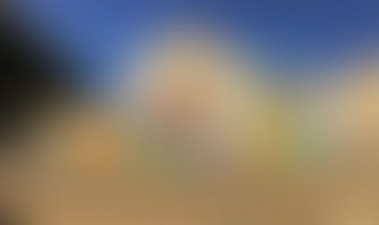 Grade 1-3 Playspace Mural