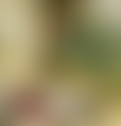 Memorial of Saint Charles Lwanga and companions, martyrs, June 3, 2024