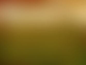 Saturday of the Sixteenth Week in Ordinary Time