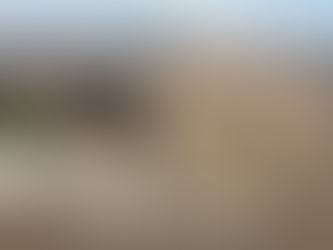 Monday of the Twenty-second Week in Ordinary Time, September 2, 2024