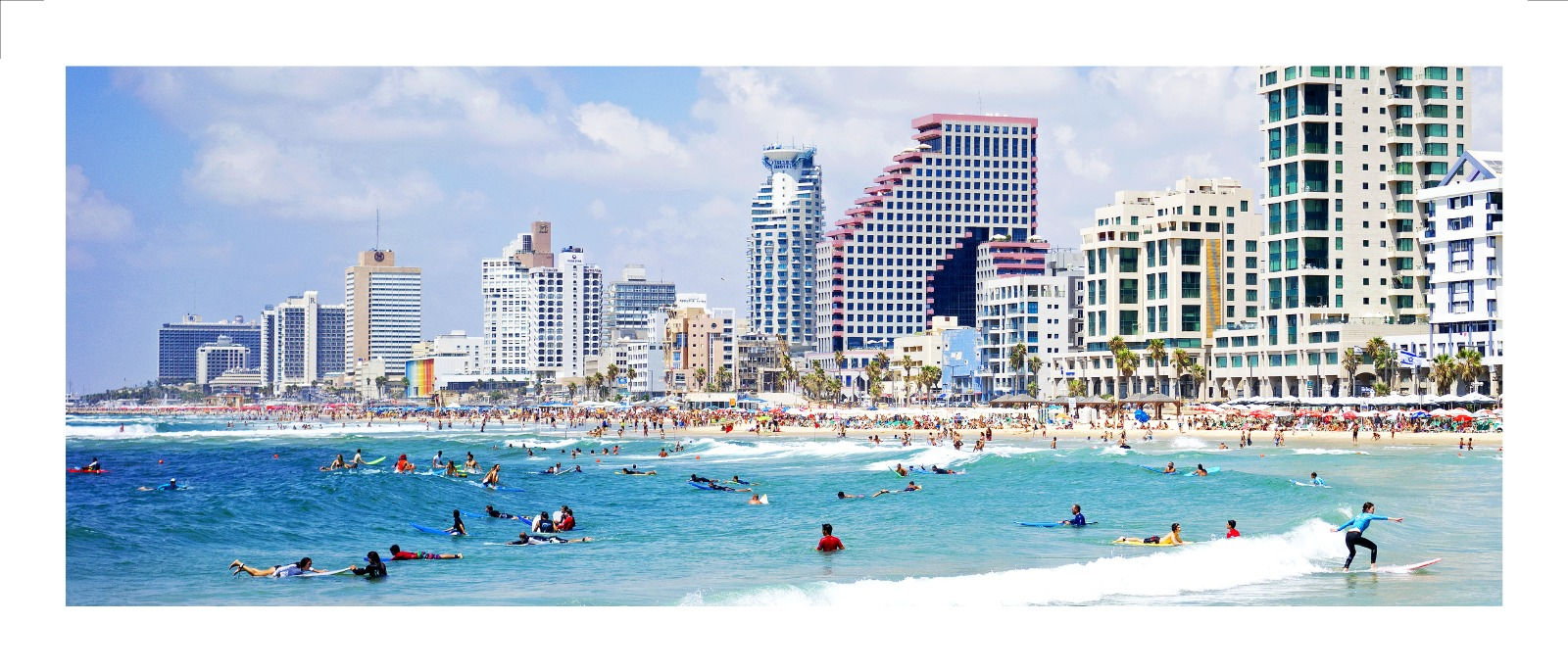 CATCHING A WAVE PANORAMIC