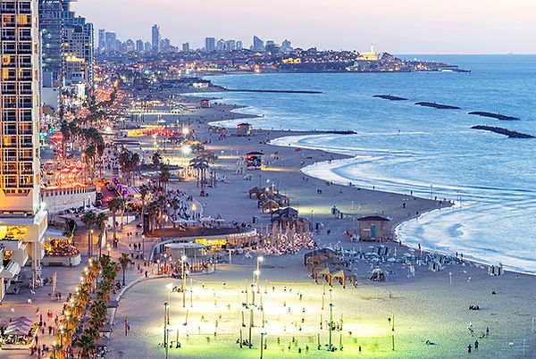 view from carlton hotel tel aviv ido biran rooftops.jpg