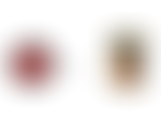 Senior Division Shield (Prelim)