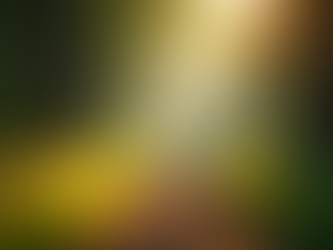 Why Traditional Thinking Fails When We Are Overwhelmed and Stuck in Survival Mode